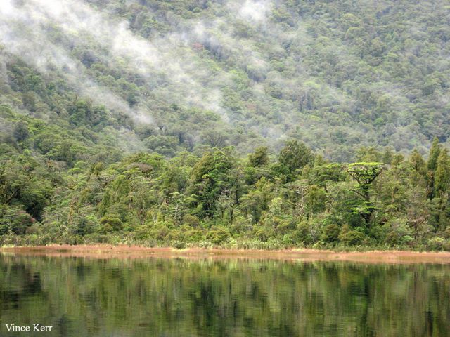 Fiordland scene img 2183