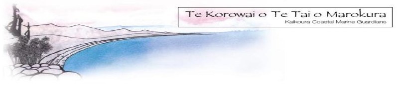 Team Korowai logo