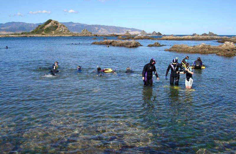 snorkelling taputeranga