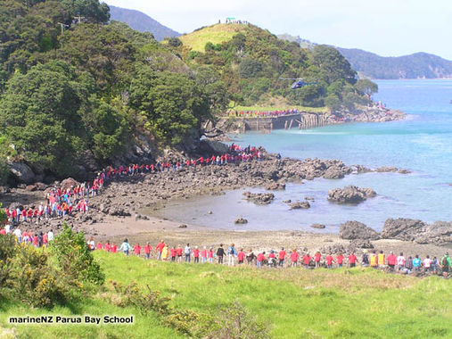 human chain